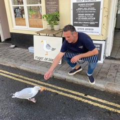 Roger the Seagull: Instagram and TV star