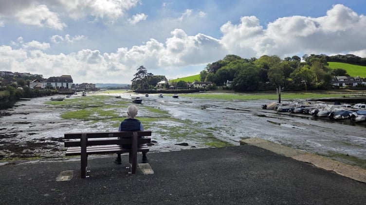 Bench overlooking Kingsbridge Estuary.