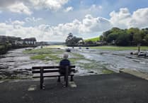 Council's bench restoration project continues