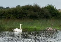 Paddling on the Avon Estuary