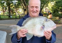 Dartmouth fishing festival sees record catch