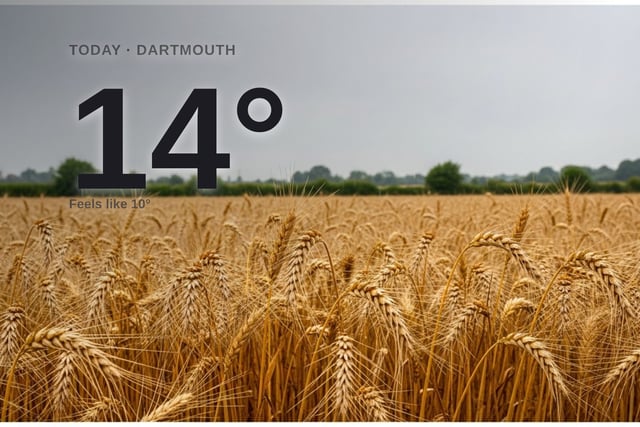 Dartmouth: cloudy day, high of 13°C