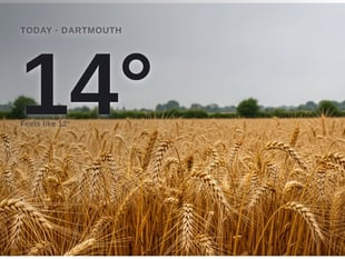 Dartmouth: cloudy day, high of 14°C
