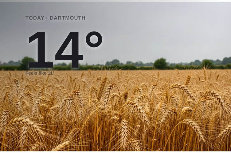 Dartmouth weather: cloudy Tuesday with little chance of rain and a high of 15°C