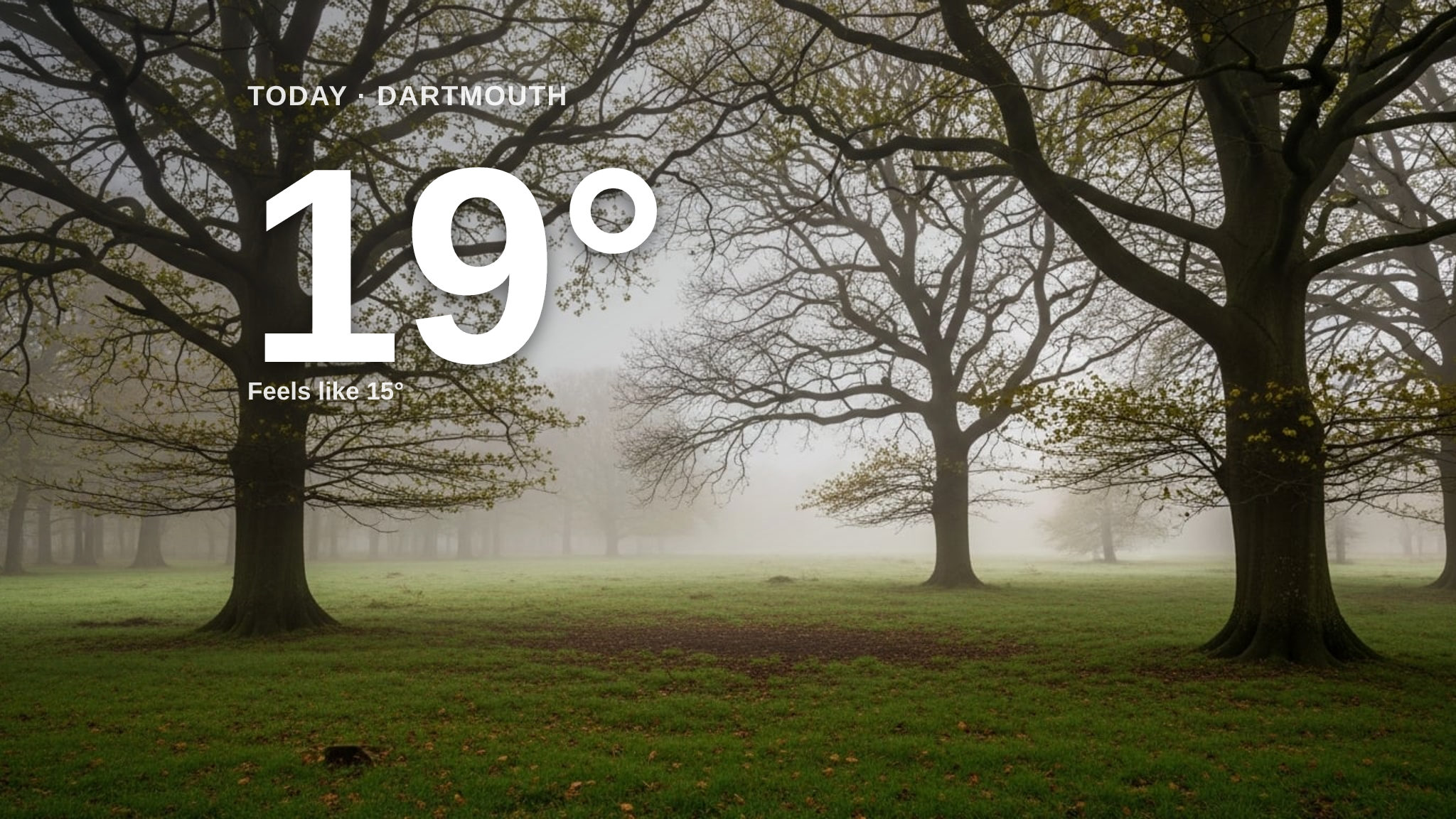Misty day ahead for Dartmouth - here's your Thursday forecast