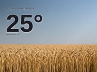Dartmouth: sunny day, high of 25°C