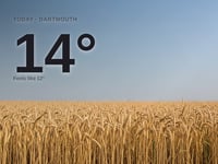 Dartmouth: sunny day, high of 14°C